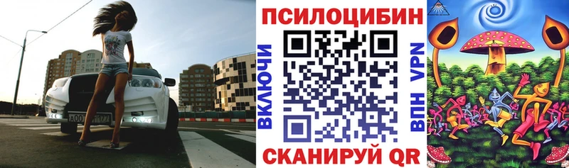 Галлюциногенные грибы Psilocybine cubensis  где продают наркотики  Мураши 